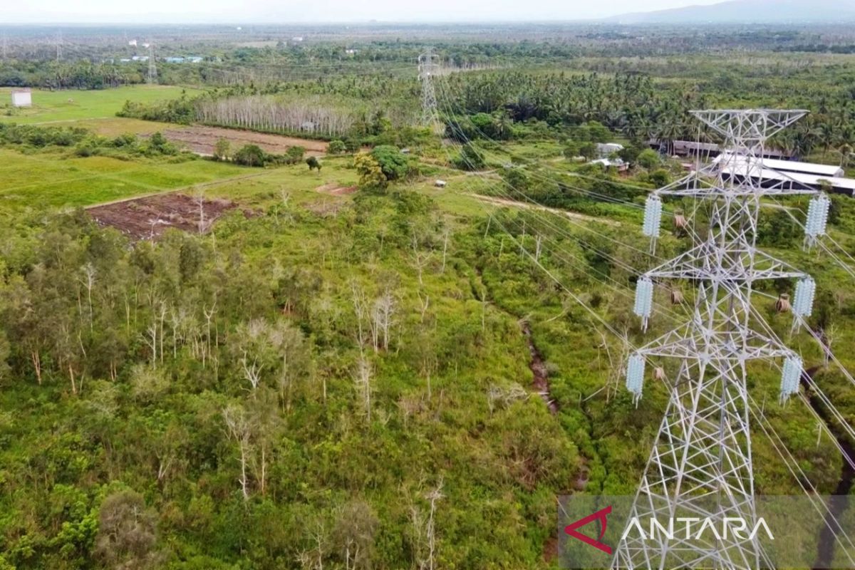 PLN UIP Kalbagtim selesaikan pembayaran kompensasi lahan di Pulau Sebuku Kalsel