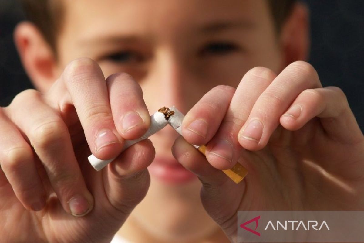 Kenapa tembakau alternatif disebut  lebih rendah risiko?