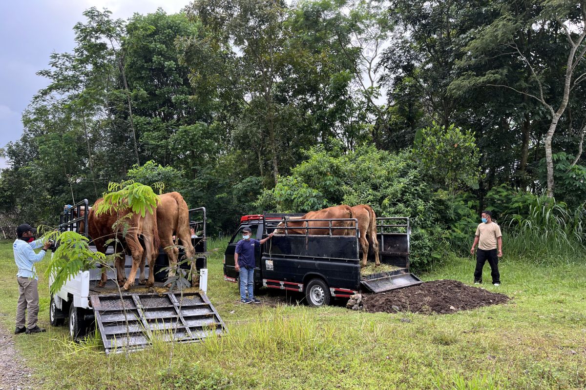 RI includes livestock evacuation in disaster management measures