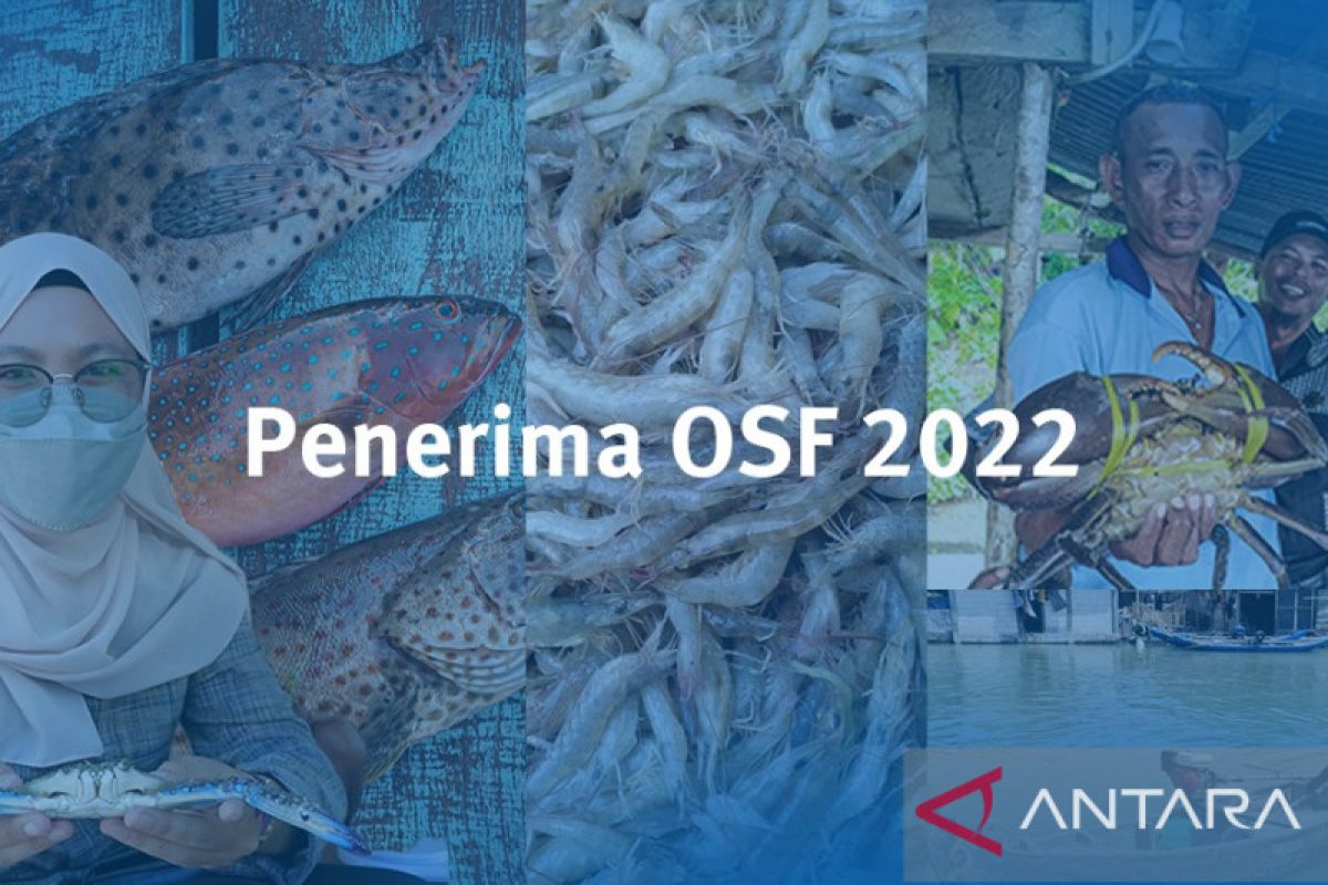 Hibah OSF 2022 MSC diberikan untuk peneliti-industri-LSM di Indonesia