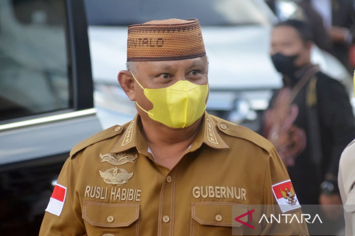 Gubernur Gorontalo: Pasangan Idah-Elnino berpeluang di Pilgub 2024