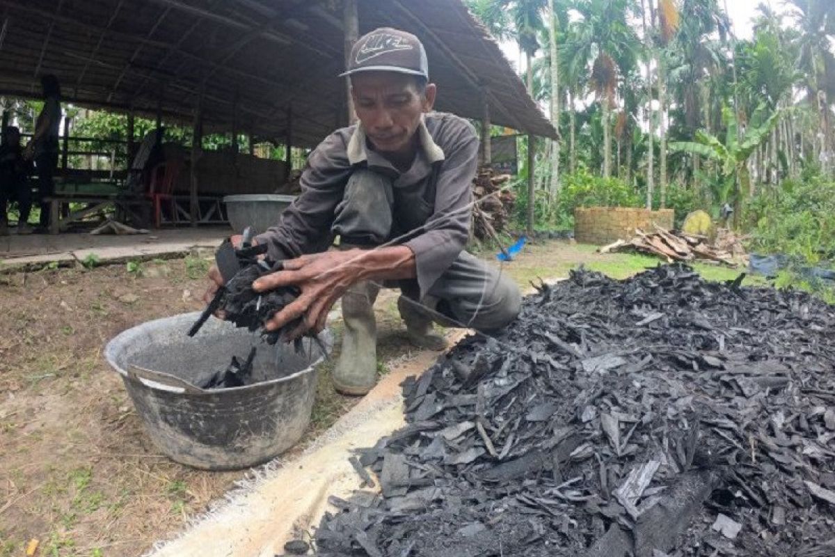 Produksi briket pelepah pinang