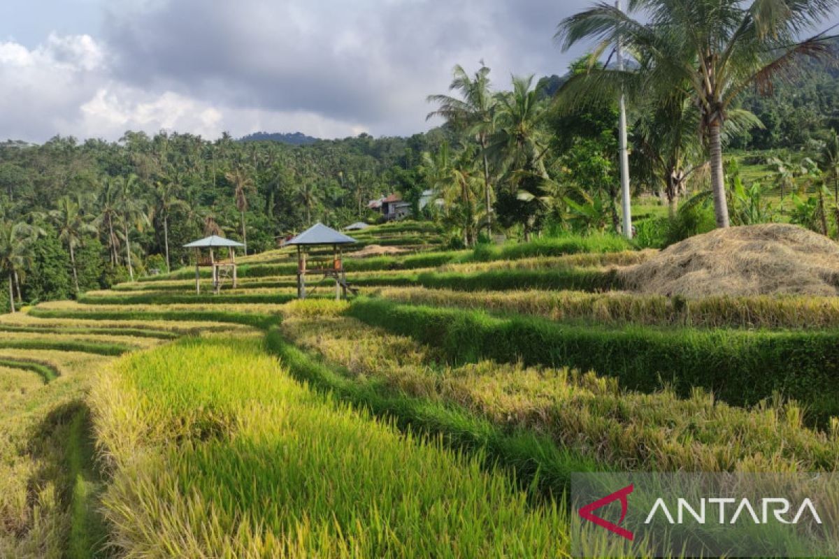 Preparing three tourist villages in Buleleng, Bali, for G20 delegates
