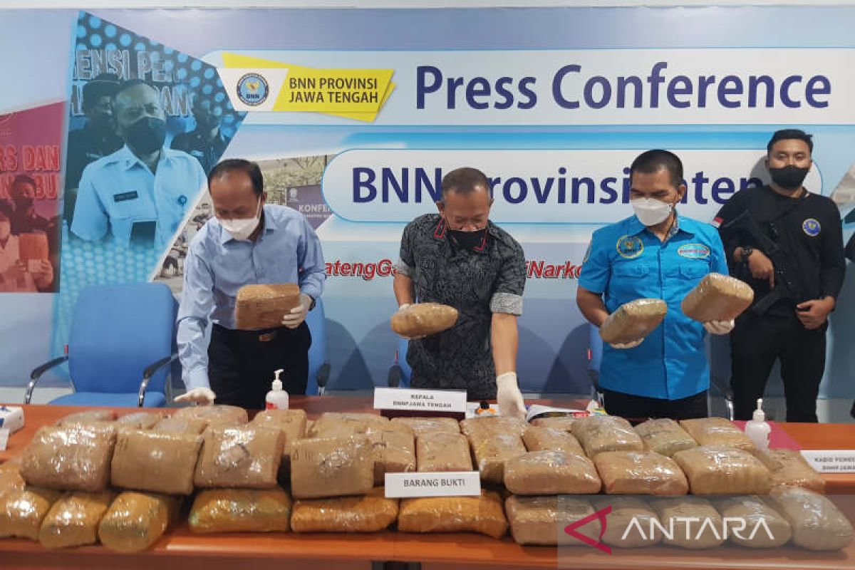 Central Java BNN thwarts shipping of 50 kilograms of marijuana