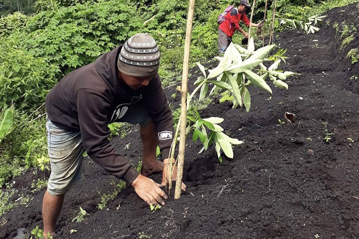 ProFauna Indonesia luncurkan Program Hutan Masa Depan