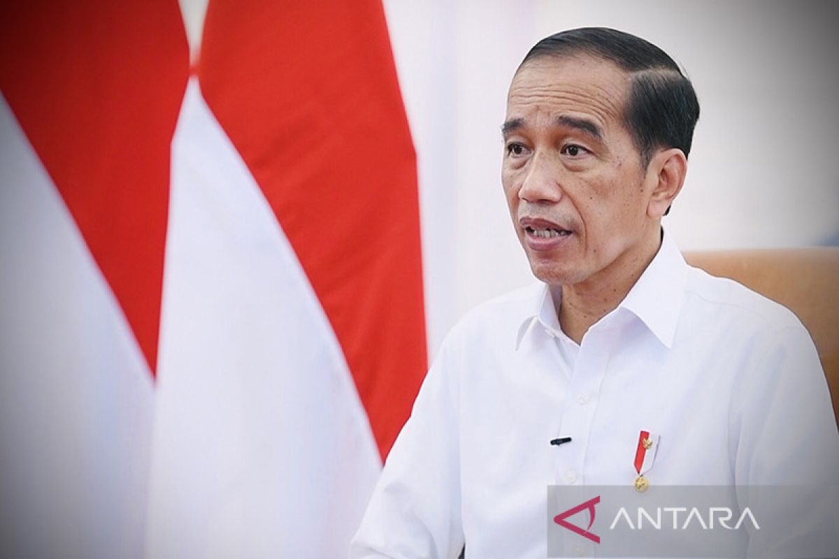 Stop ekspor bahan mentah, Jokowi minta percepat hilirisasi industri,