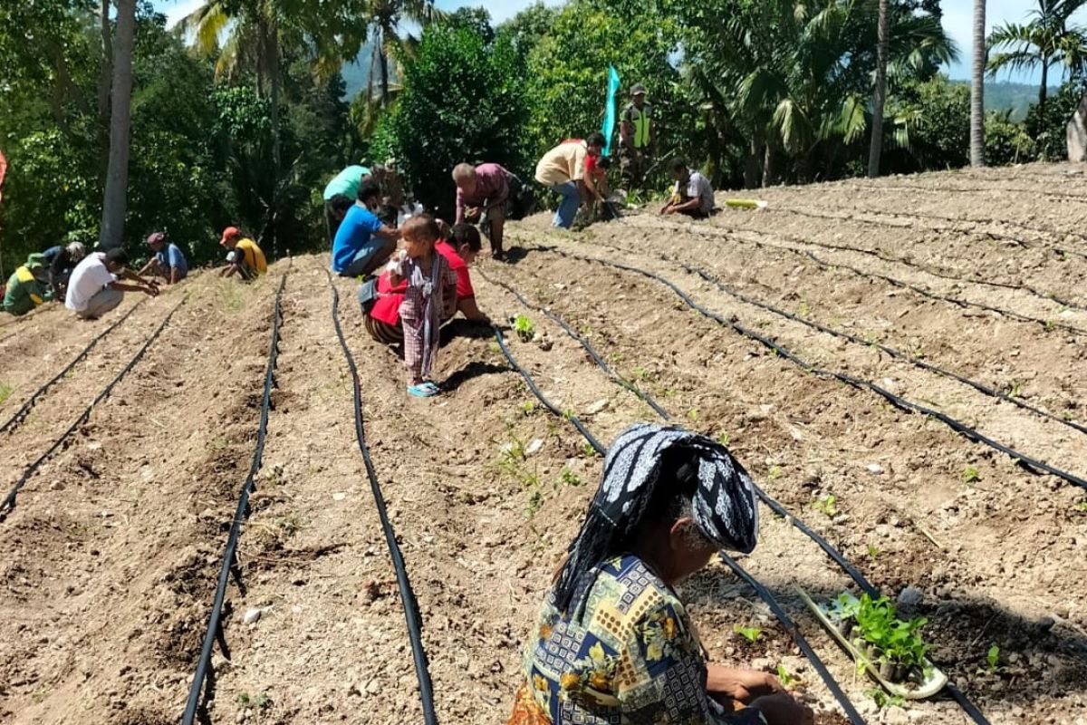 Shopee ajak masyarakat bantu pertanian Desa Pana NTT
