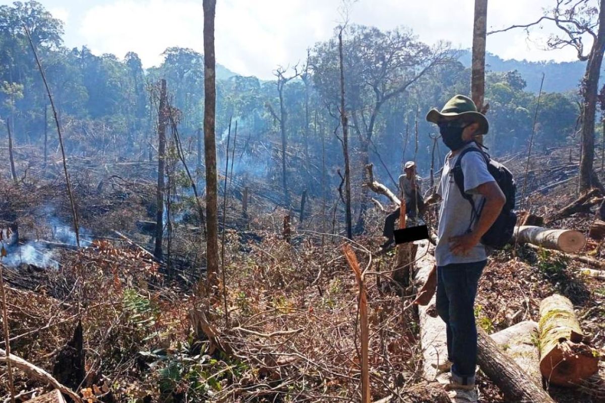 Tim patroli BKSDA Sumbar tangkap pelaku perusakan dan pembakaran hutan di Solok