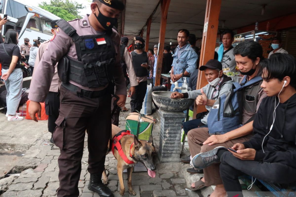 Polisi hadirkan anjing pelacak sisir peledak dan narkoba di Kalideres