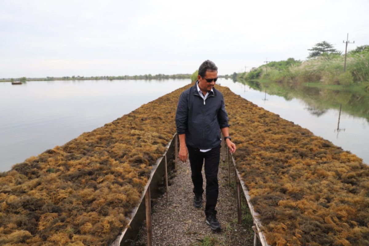 Menteri Trenggono dukung pemda menyelidiki pencemaran di Teluk Bima NTB