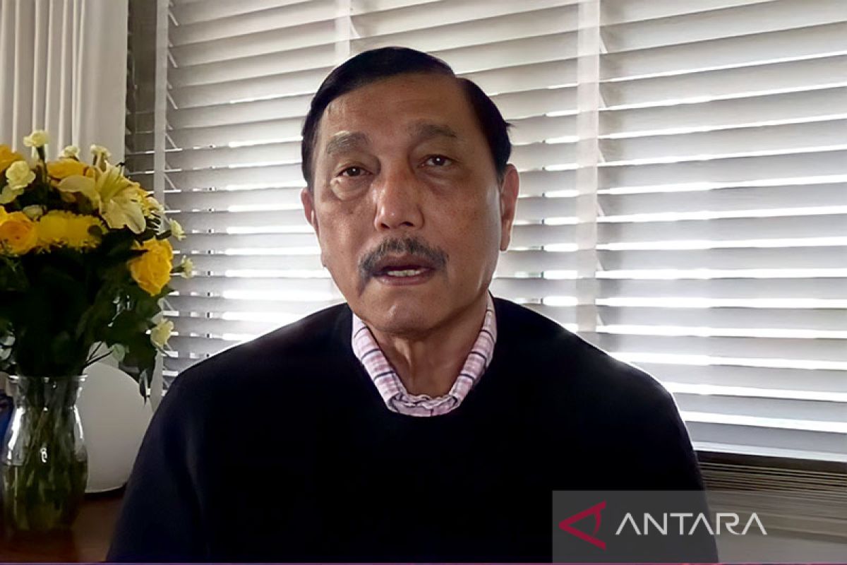 Luhut diminta Presiden urus minyak goreng di Jawa-Bali