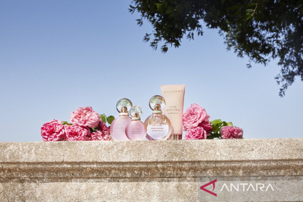 Bvlgari perkenalkan koleksi parfum Rose Goldea Blossom Delight