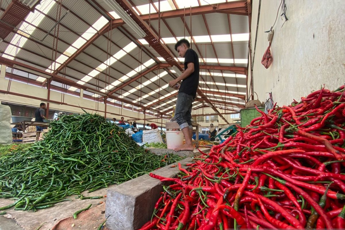 Harga cabai dan sejumlah bahan pokok di Aceh naik jelang Idul Fitri