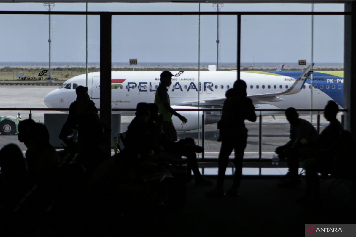 Indonesian govt to act firmly against airlines violating airfare cap
