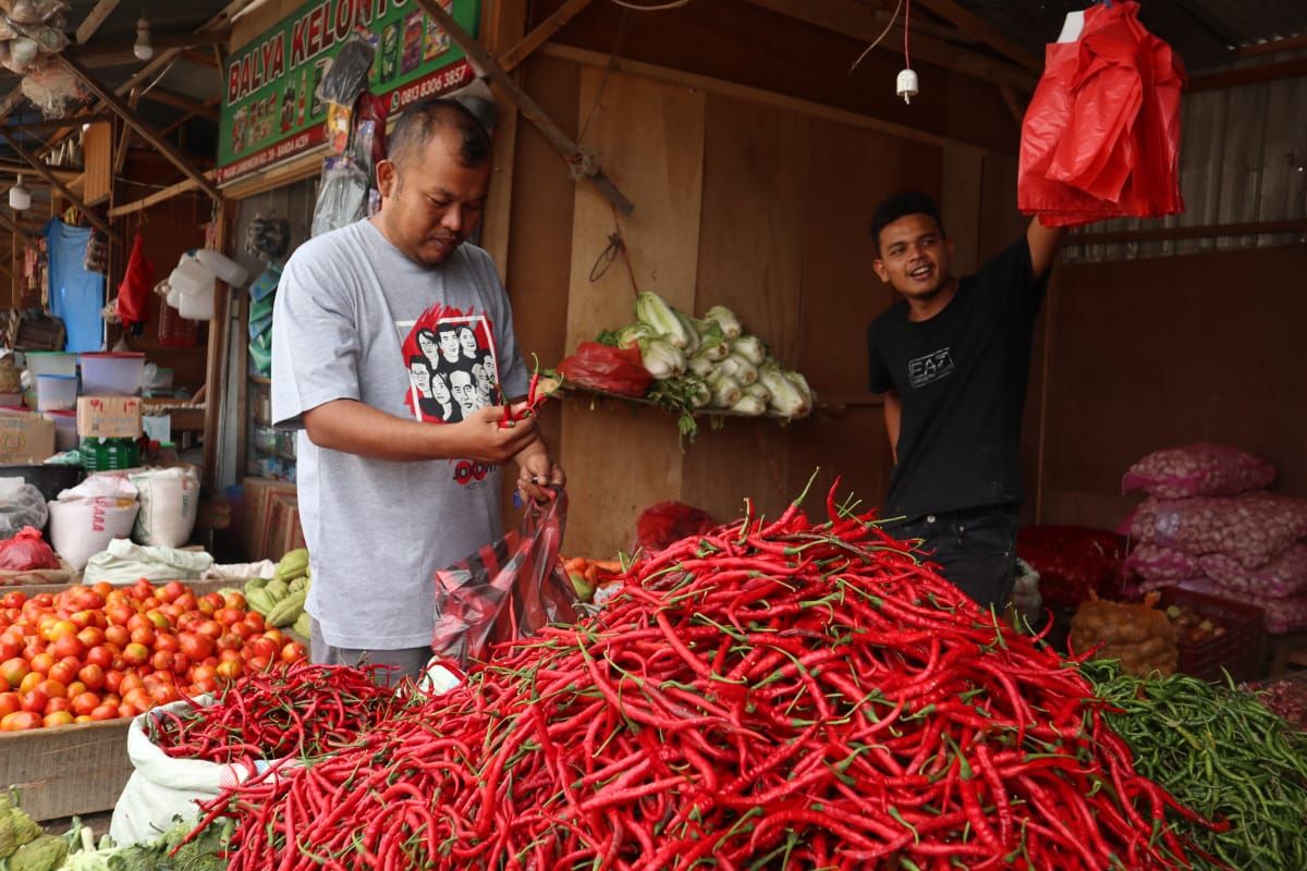 Permintaan meningkat, harga cabai hijau naik di Banda Aceh