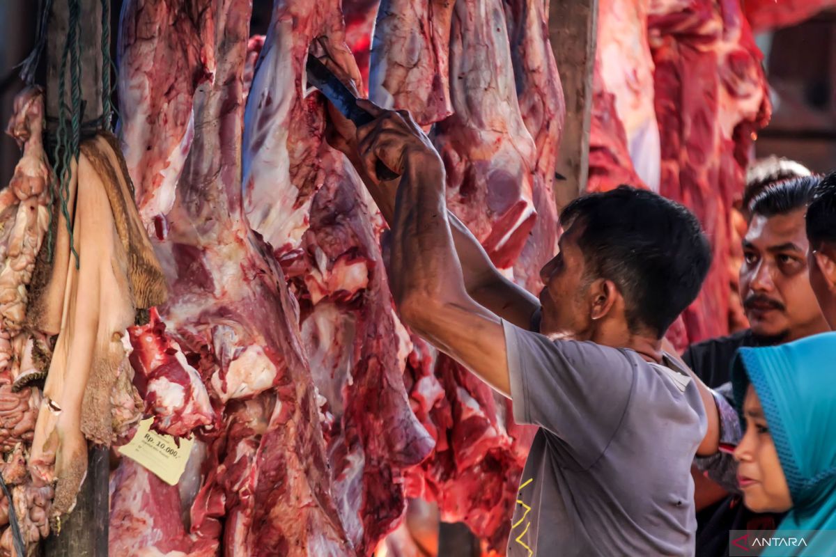 Daya beli daging masih tinggi meski harganya Rp180 ribu per kilogram