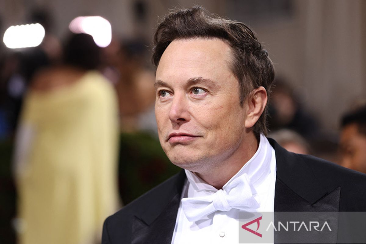 Elon Musk siapkan Twitter berbayar untuk akun pemerintah & perusahaan