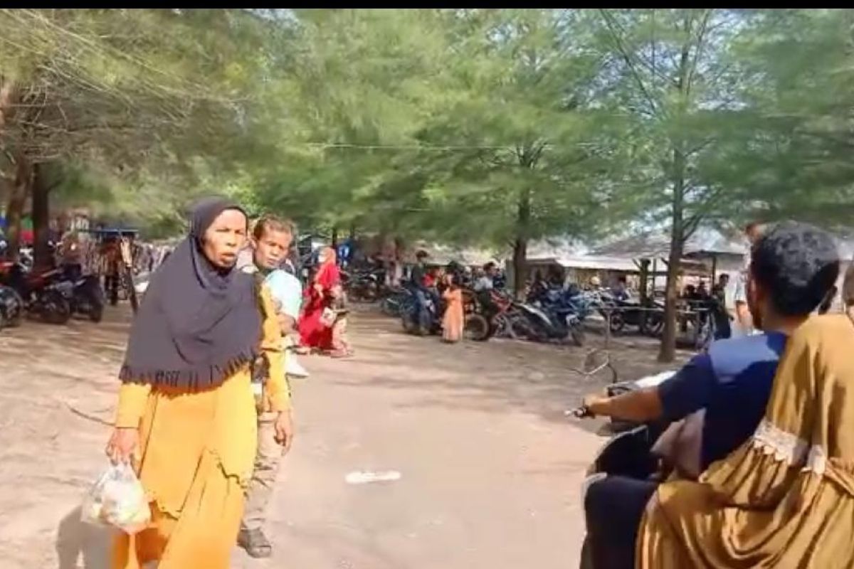 Festival seni dan budaya di Pasaman Barat