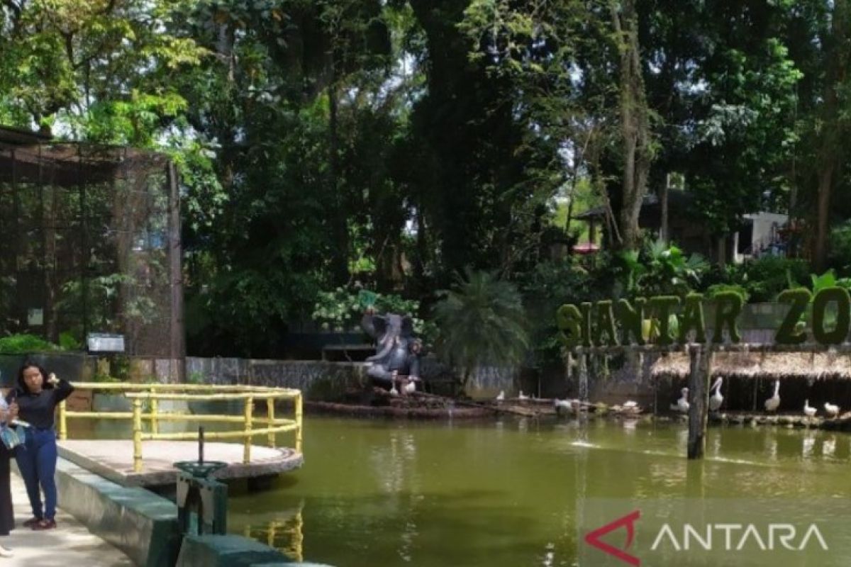 Pengunjung padati Taman Hewan Pematang Siantar