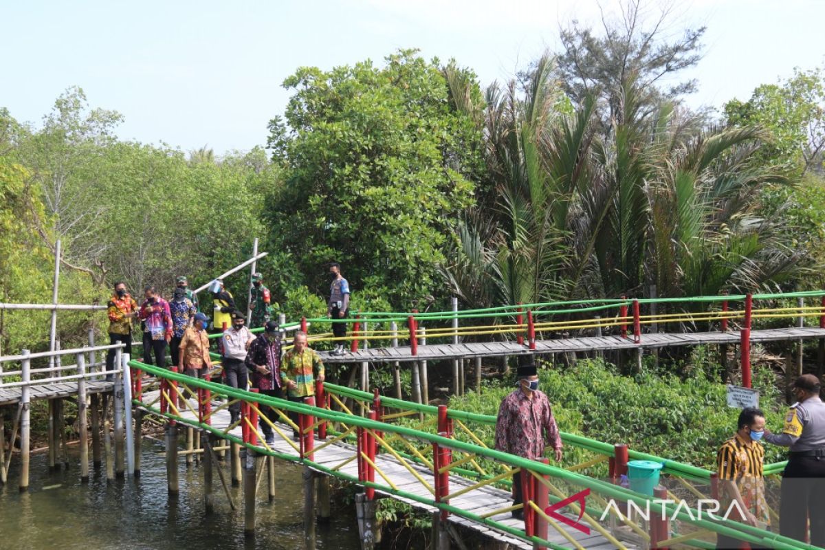 BRGM highlights mangrove rehabilitation's role in disaster mitigation
