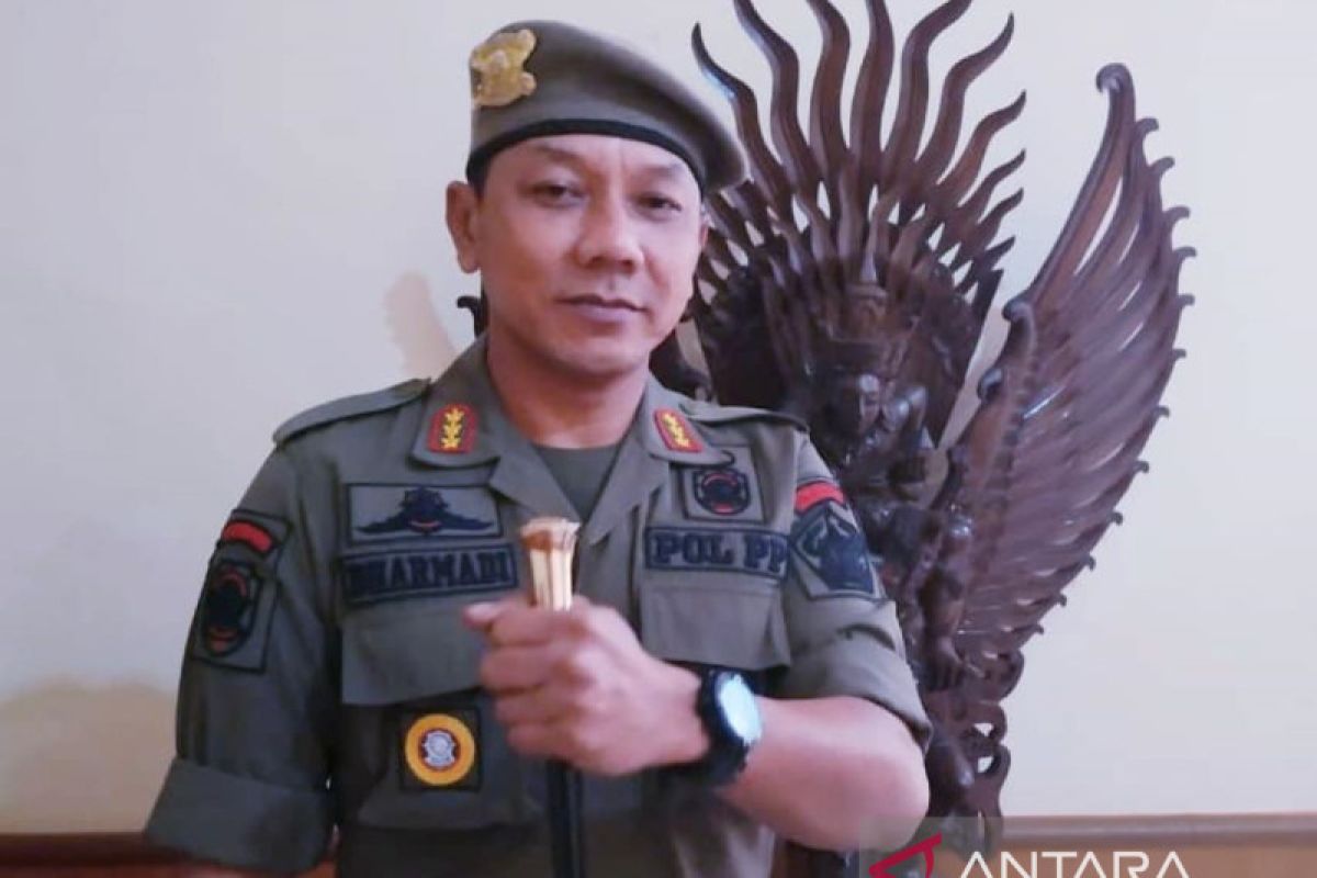 Petugas gabungan Bali putar balik PPDN tak bawa KTP saat arus balik