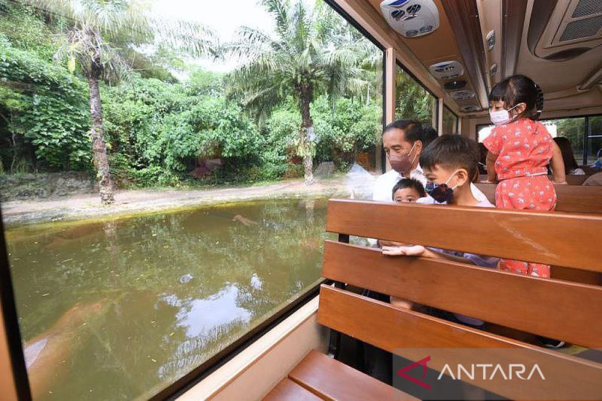 Jokowi ajak cucu bersafari di Bali
