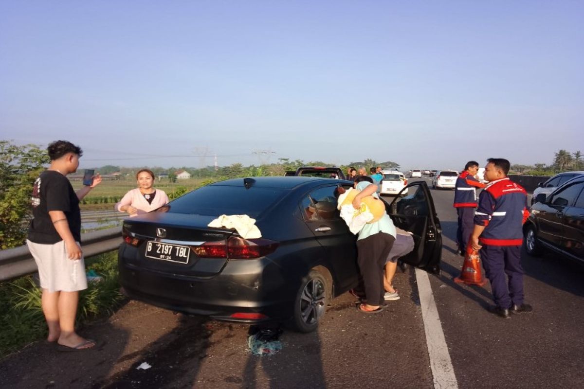 Dua mobil pemudik kecelakaan di Tol Pemalang-Batang pada Jumat