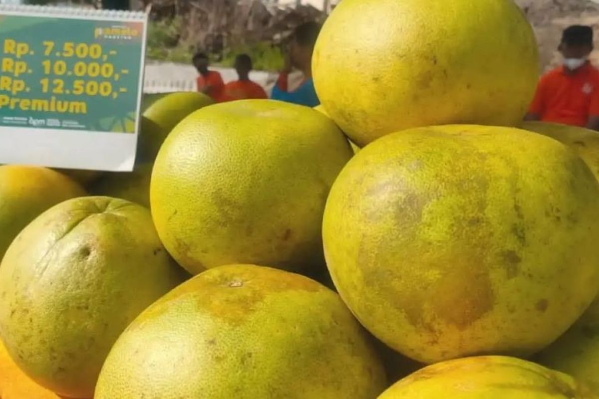 Pemkab Magetan promosikan jeruk pamelo kepada pemudik dan wisatawan
