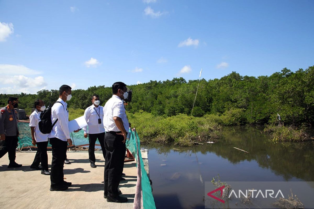 Pastikan kesiapan sambut KTT G20, Luhut tinjau Mangrove Tahura dan GWK