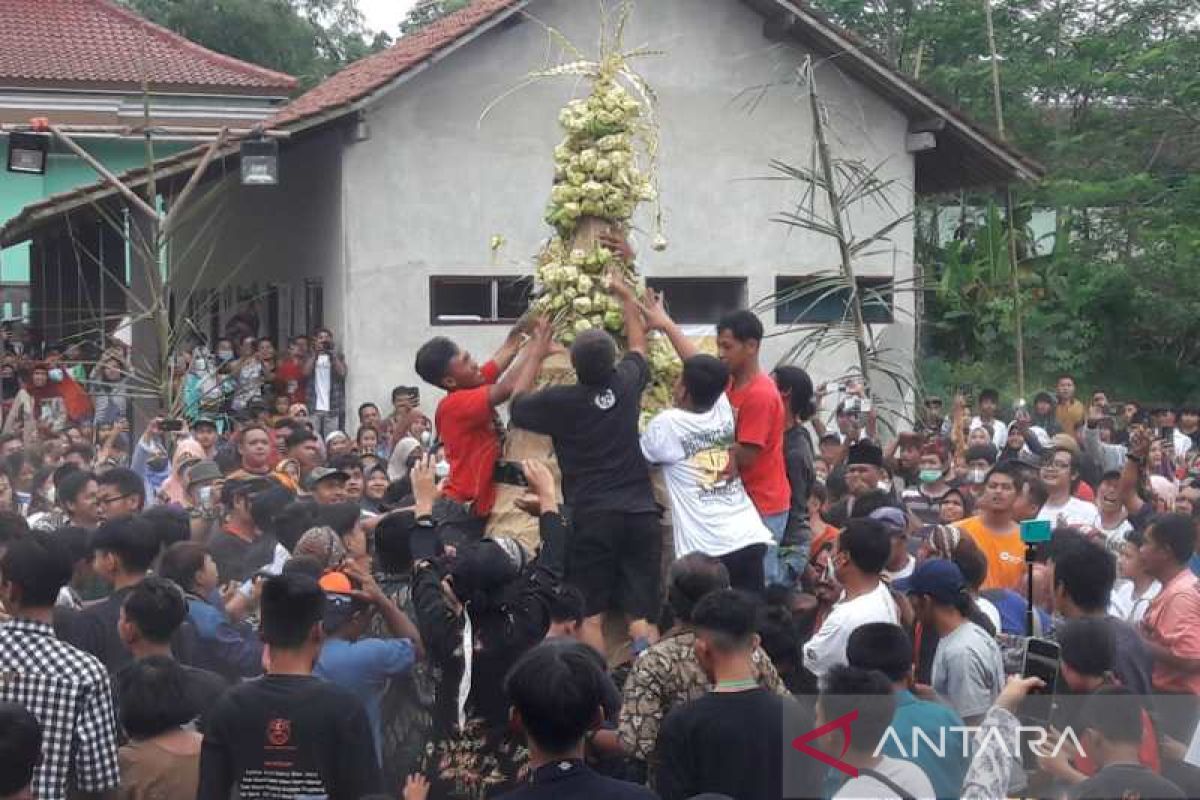 Warga Kabupaten Magelang gelar tradisi gerebek ketupat