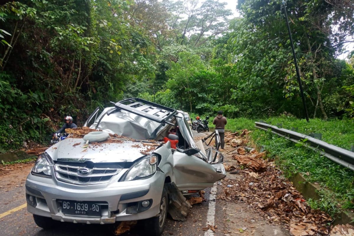 Pengendara mobil tewas tertimpa pohon tumbang di Bengkulu Tengah