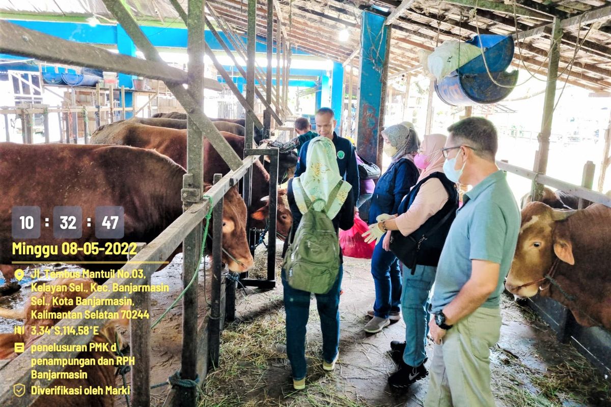 Kalsel tingkatkan kewaspadaan penyebaran penyakit pada hewan ternak