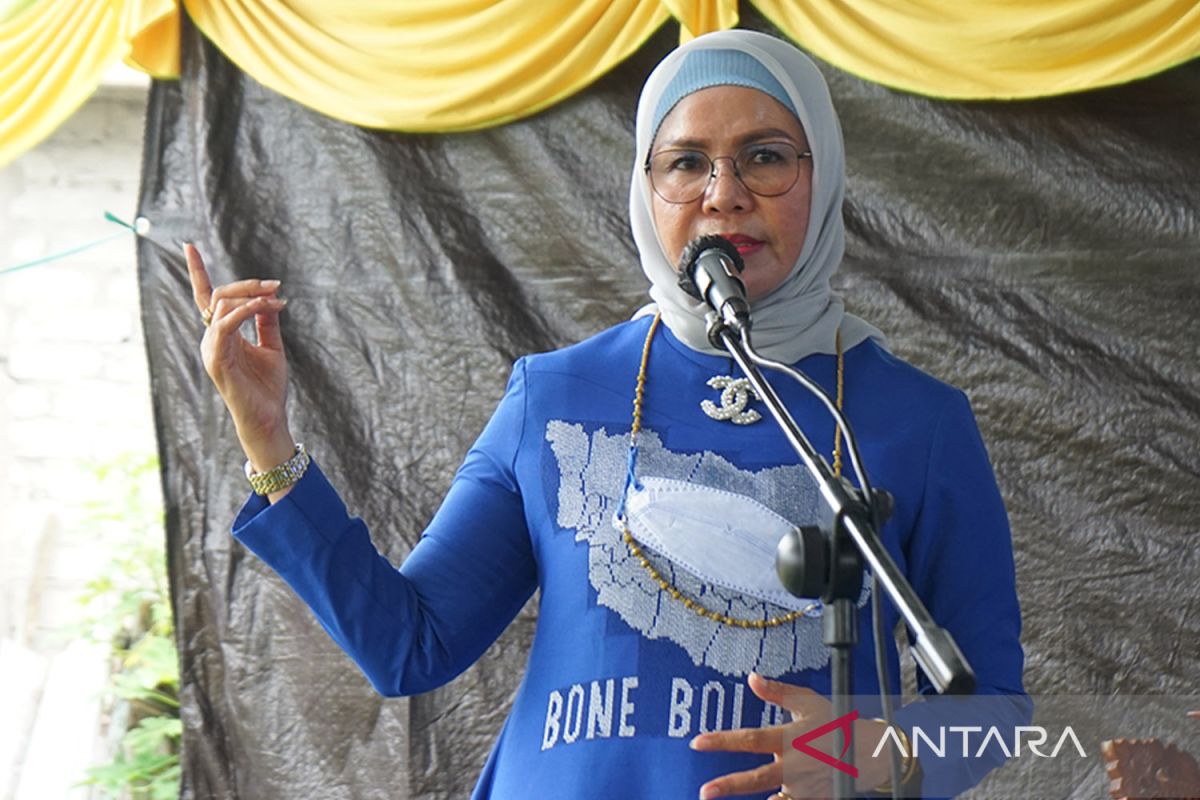 Wakil Bupati tegaskan komitmen mendukung pembentukan DOB Bone Pesisir