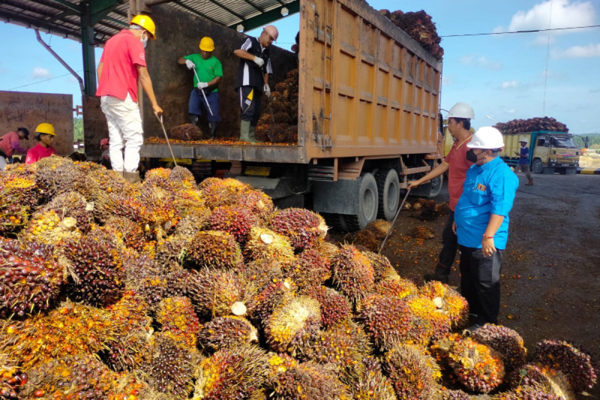 Setahun beroperasi, PT IIS Pangkalan Lesung mulai tingkatkan ekonomi masyarakat