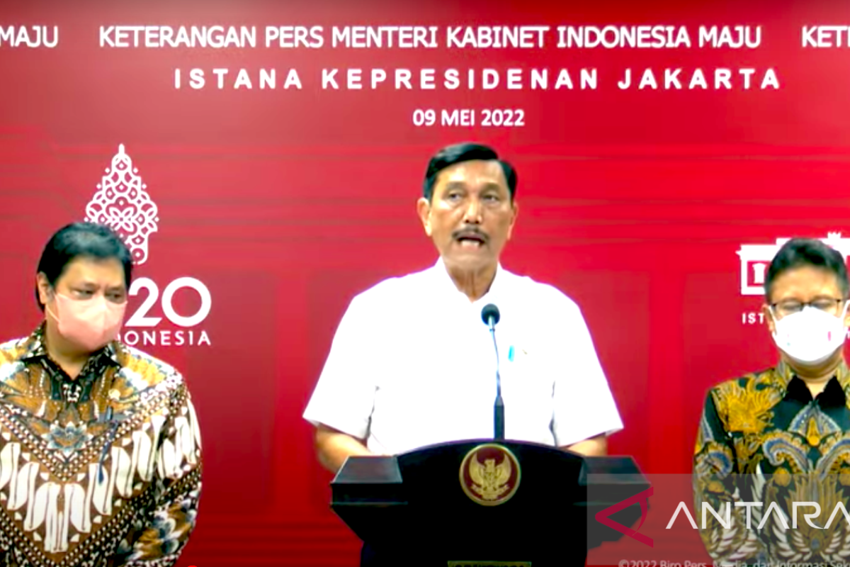 Luhut imbau penerapan WFH untuk kurangi risiko COVID-19