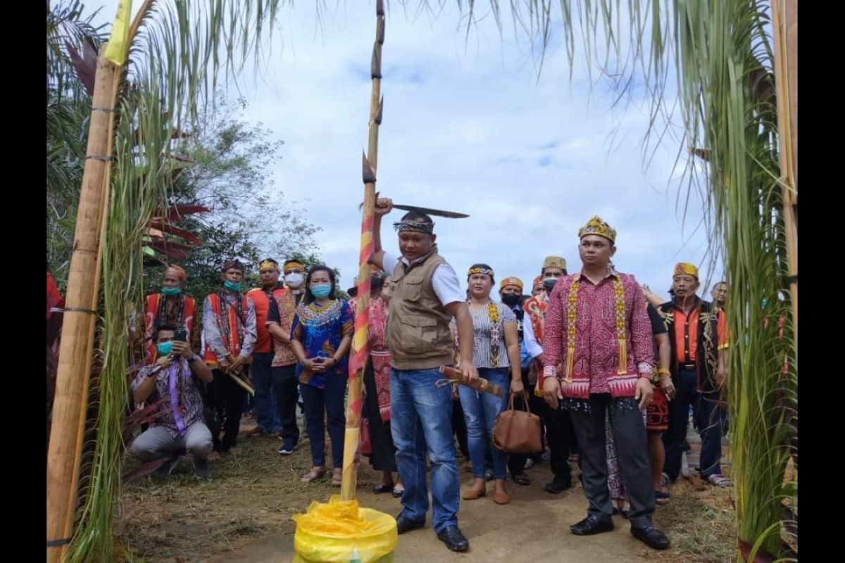 DAD Sungai Laur keluarkan aturan sanksi pencurian buah sawit - perkelahian