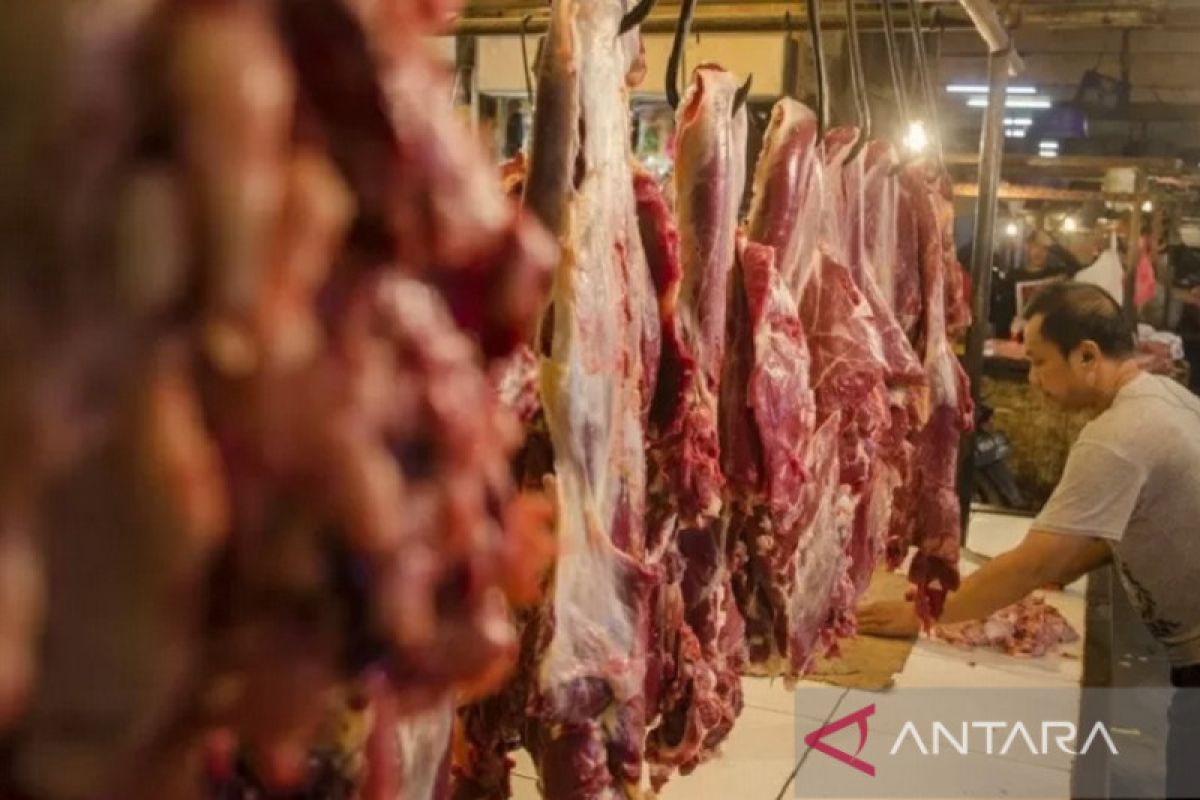 Harga daging sapi di Palangka Raya naik Rp160.000 per kilogram