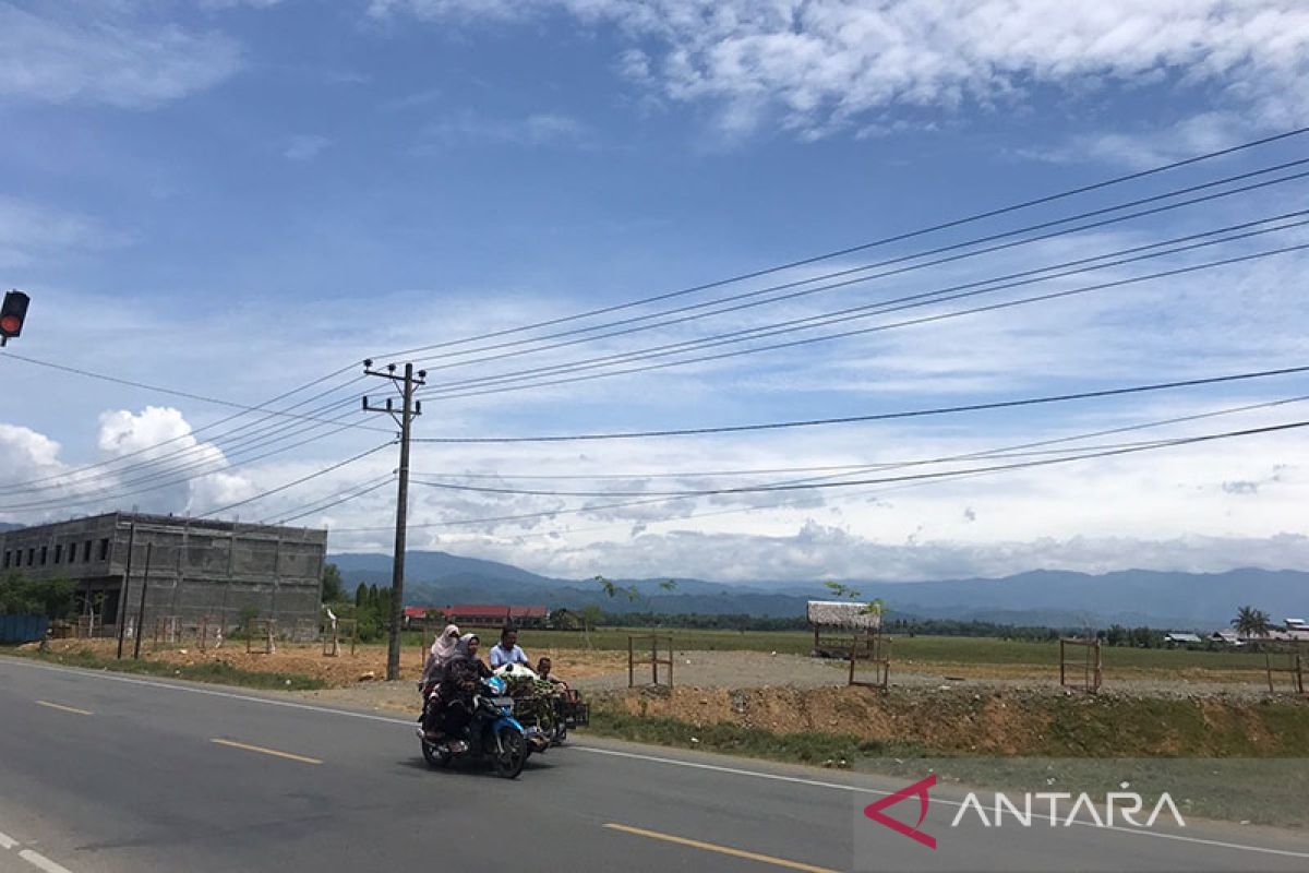 Ribuan hektare sawah di Kabupaten Pidie beralih fungsi