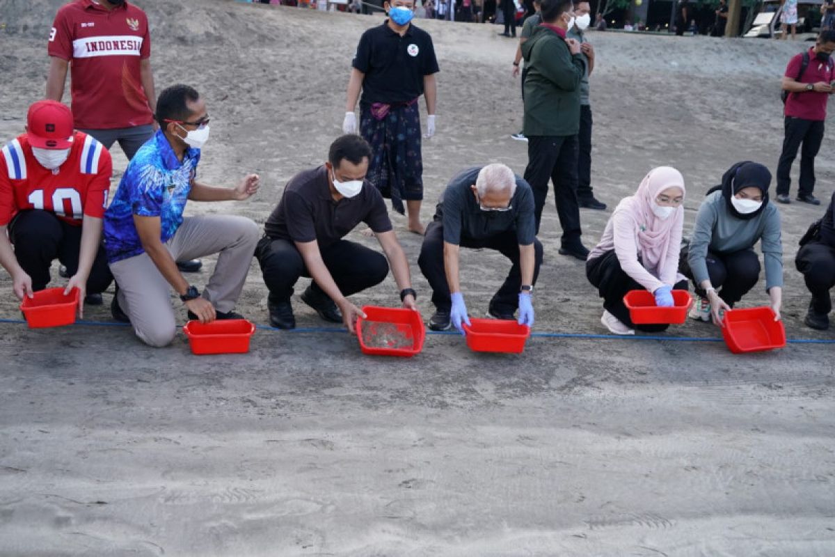 Wapres lepas tukik di Pantai Kuta Bali