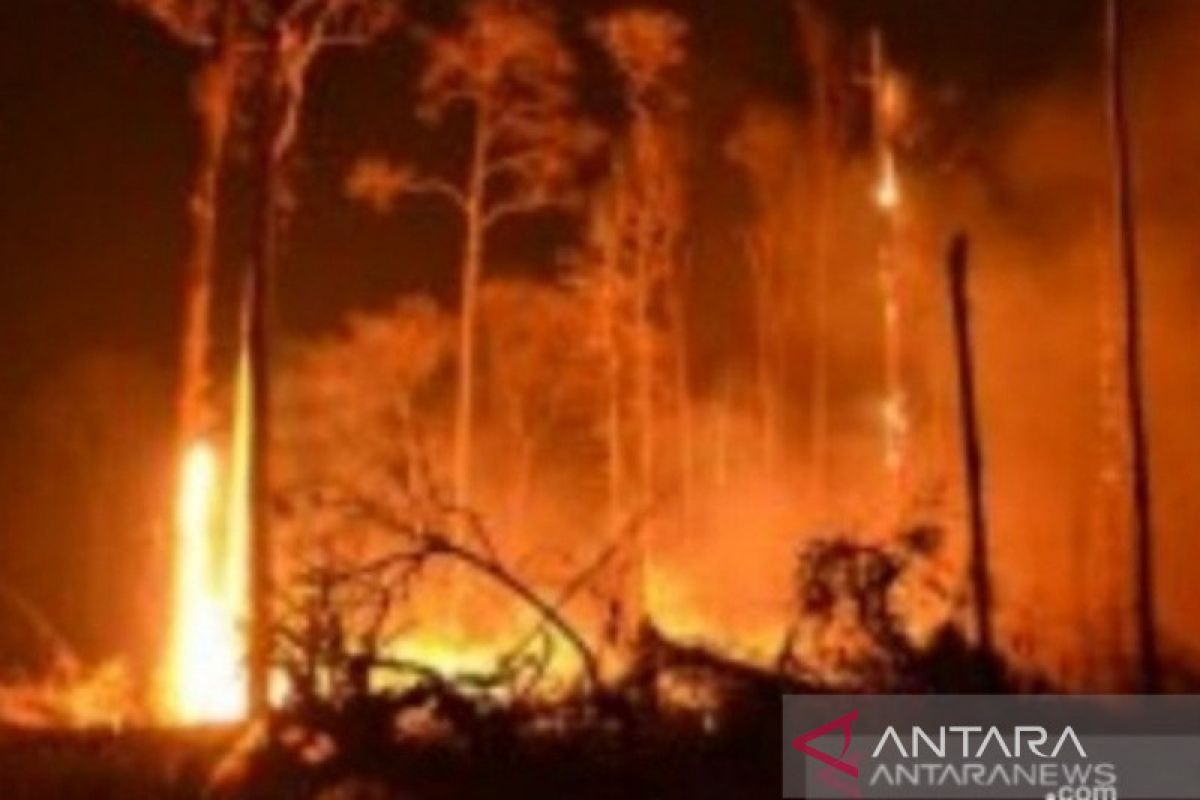 BMKG keluarkan peringatan dini kebakaran hutan sebagian wilayah NTT