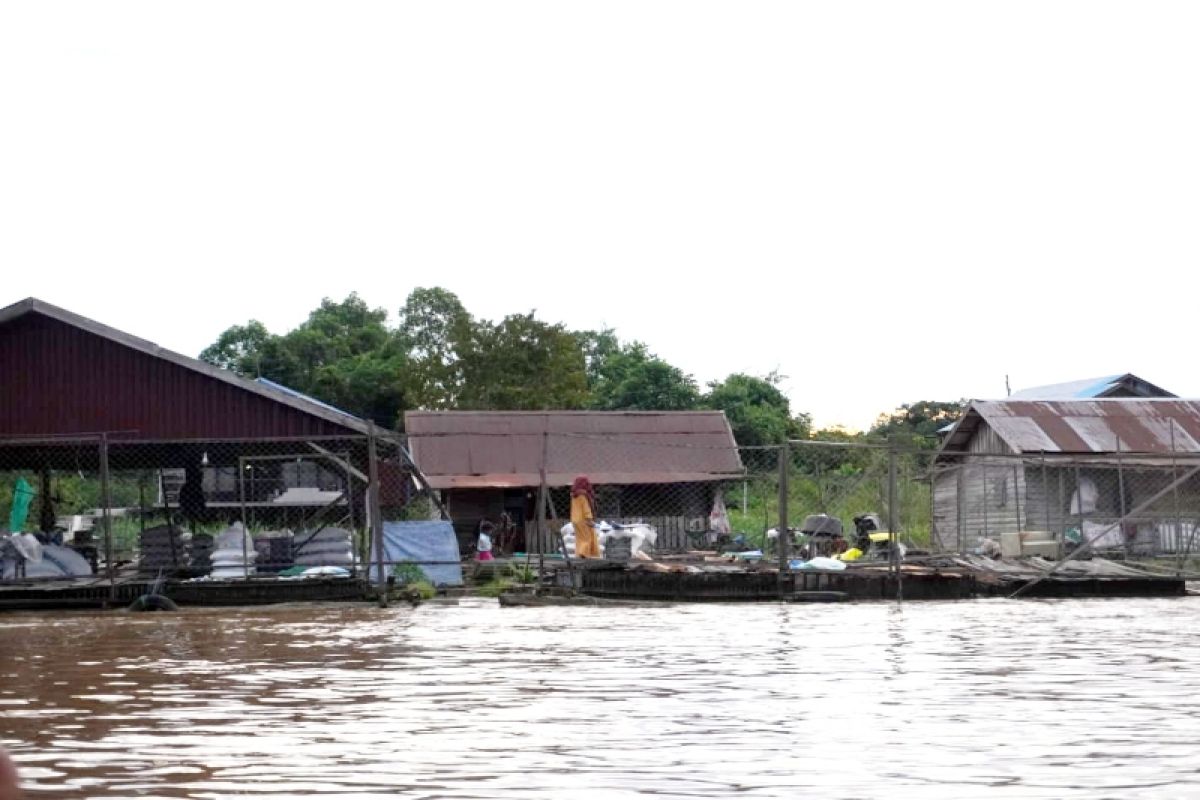 Pencarian pensiunan perwira Polri terus dilakukan di Sungai Kahayan