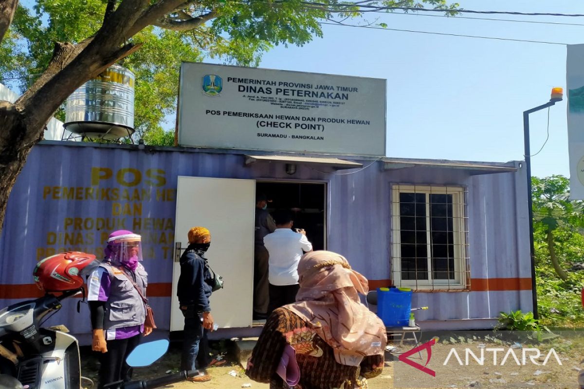 Pemkab Bangkalan instruksikan dokter hewan ke pelosok desa pantau PMK