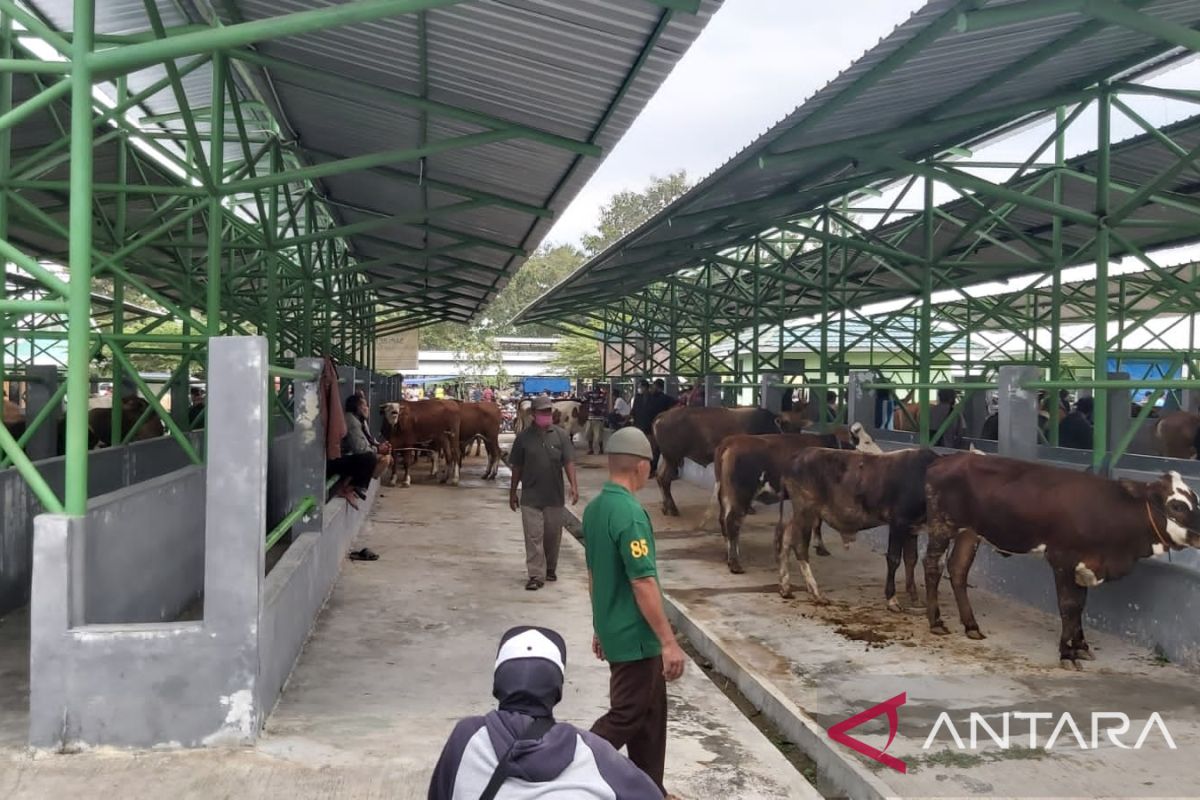 Kulon Progo mengintensifkan pemantauan ternak di penampungan hewan
