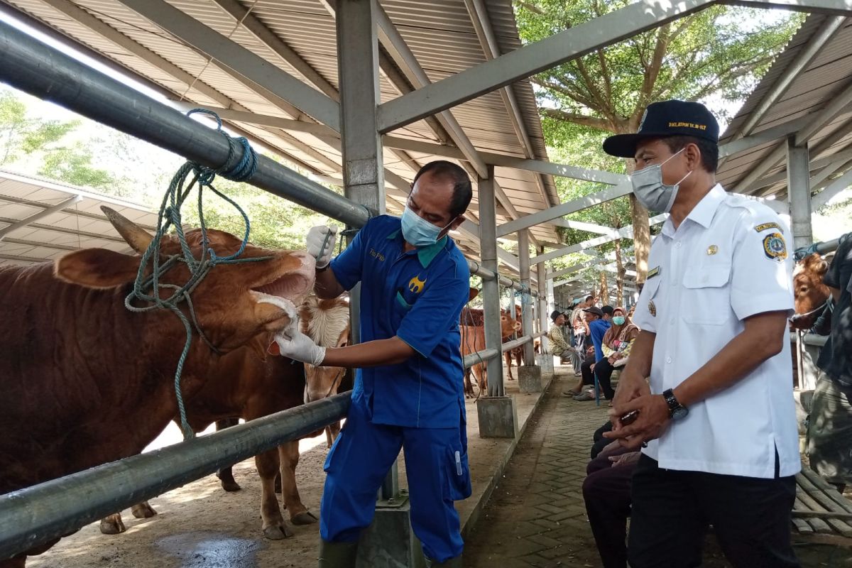 Disnak Tulungagung sterilisasi pasar hewan antisipasi wabah PMK