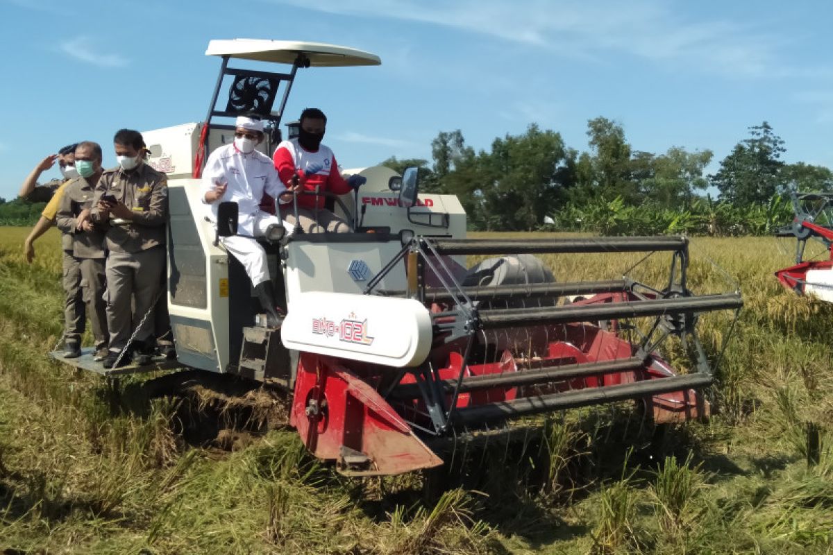 Dedi Mulyadi: Penerapan pajak pertanian turunkan pendapatan petani