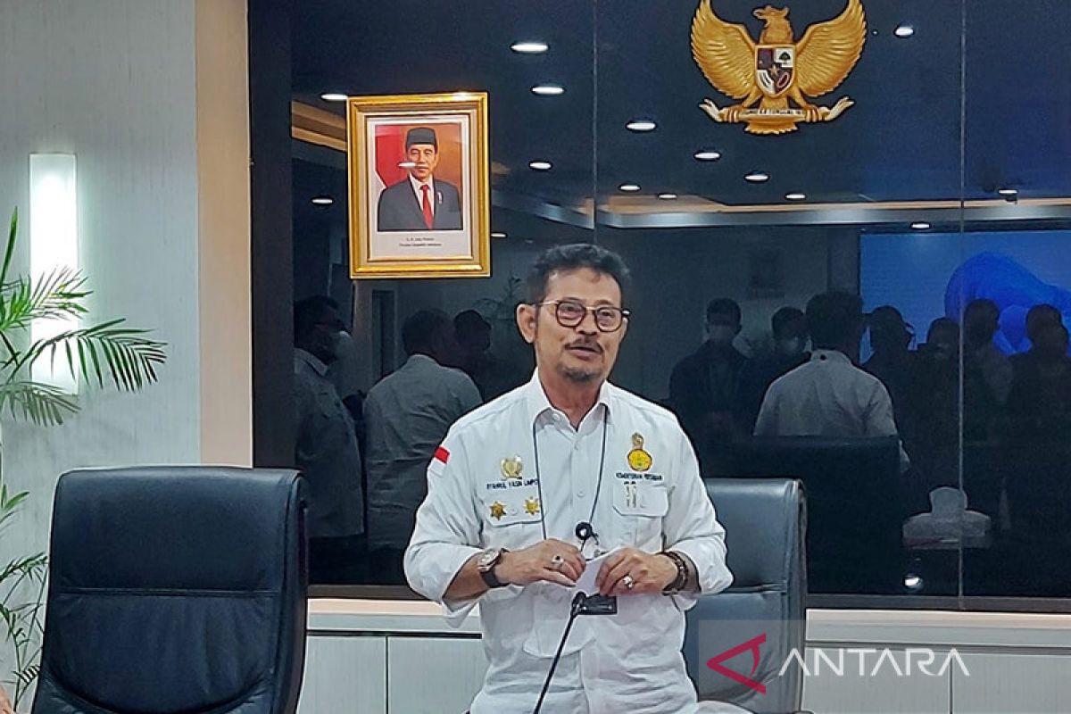 Mentan: sebagian daging ternak terinfeksi PMK masih bisa dikonsumsi