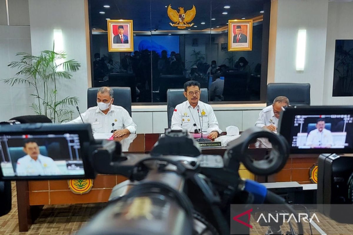 Kementan segera vaksinasi hewan di wilayah wabah dan nonwabah PMK