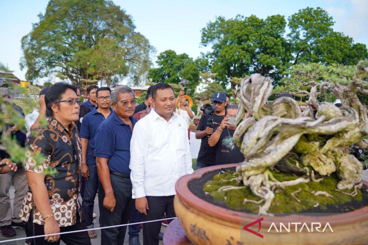 Bupati Gianyar buka pameran nasional Bonsai