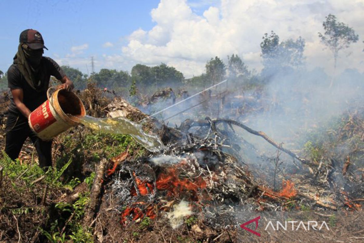 Warga Aceh diminta tak bakar lahan saat kemarau cegah Karhutla