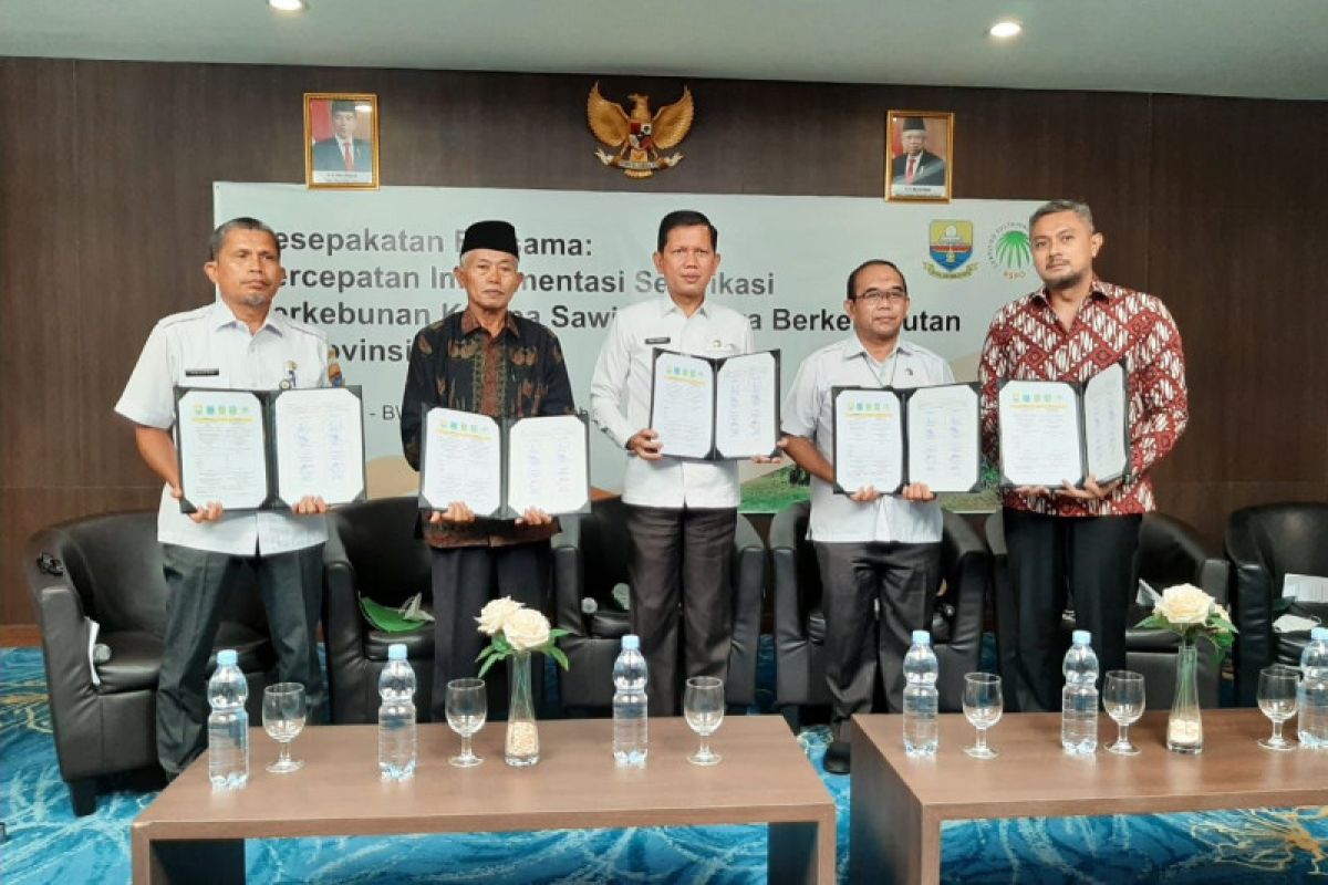 Jambi tingkatkan inklusi kebun sawit berkelanjutan bersama RSPO